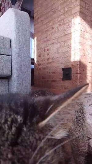 играю за героиню