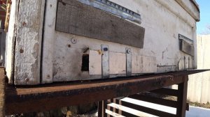 Пчелы 31.03.2026