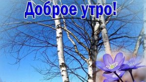 Доброе мартовское утро. Красивая музыкальная открытка.