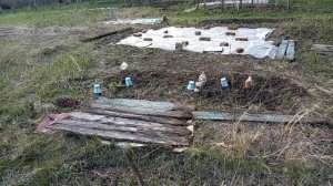 Сады цветут 🌸🌸🌸Что насадила новенькие саженцы! Юг России 🪴