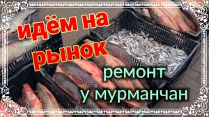 Александровка, огород. Идем на рынок. Ремонт у мурманчан...