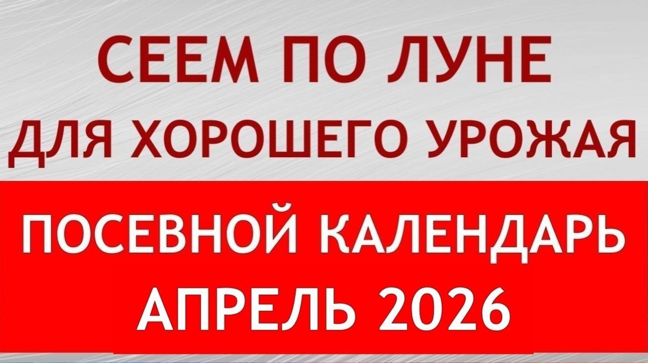 Когда сеять на рассаду в АПРЕЛЕ 2026. Точный лунный посевной календарь на АПРЕЛЬ 2026 по дням.
