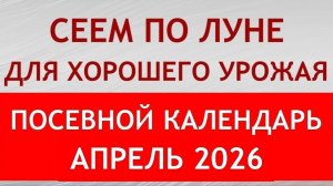 Когда сеять на рассаду в АПРЕЛЕ 2026. Точный лунный посевной календарь на АПРЕЛЬ 2026 по дням.