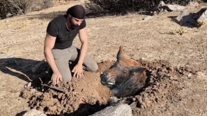 Я добыл воду в засушливом месте, изготовил примитивное оружие, построил уютное жилище.