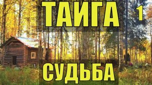 ТАЙГА.Сбежав в ТАЙГУ, он нашёл там не только свою СУДЬБУ