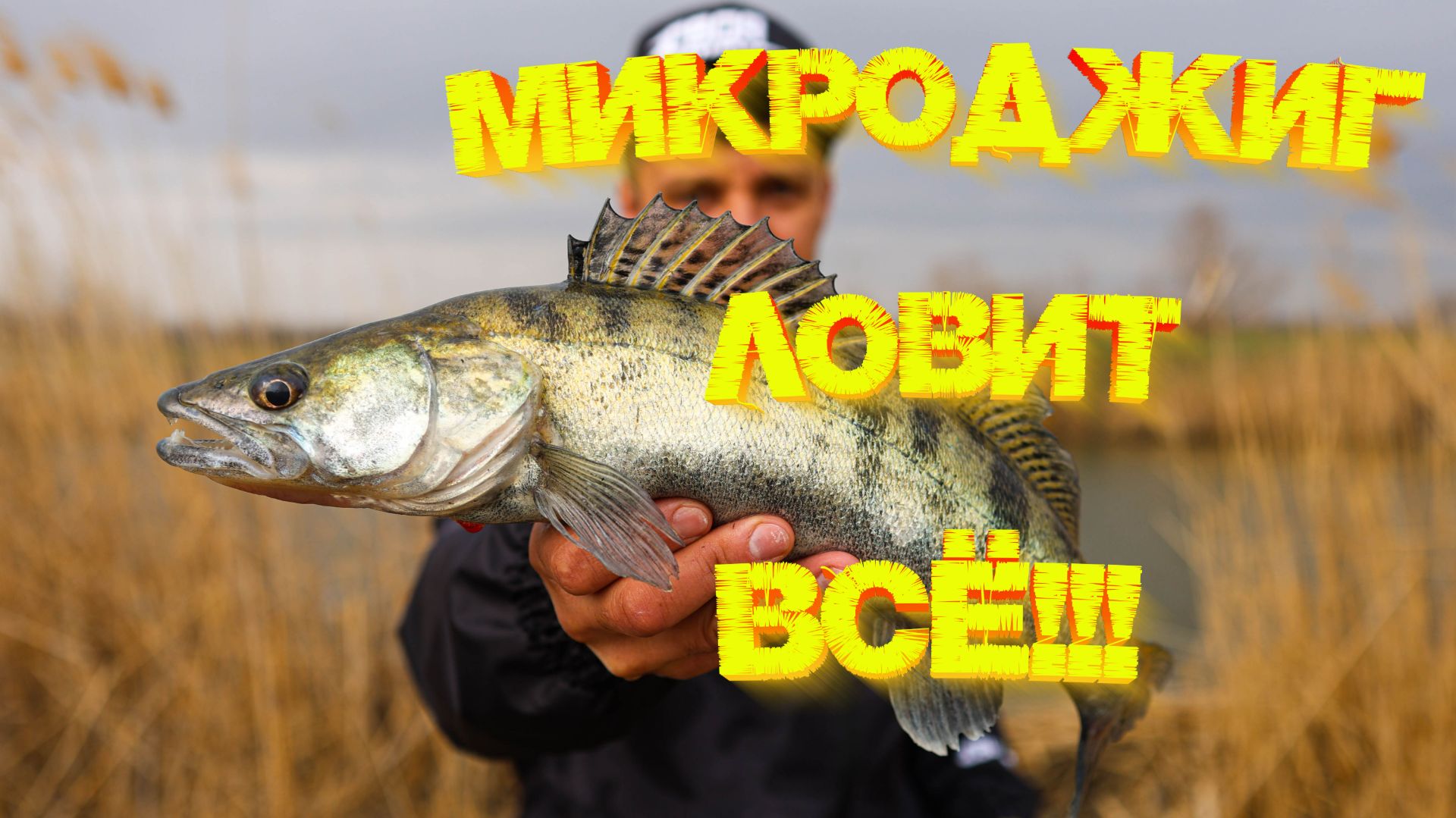Поймал ВСЮ рыбу на МИКРОДЖИГ 💪💪💪 Пассивка которая ЛОВИТ 😉👍