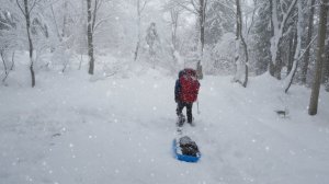 Кемпинг в снегу в одиночестве ❄️ / Приготовление еды и дегустация вина в палатке