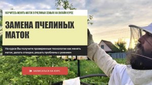 Замена маток. Четыре технологии замены пчелиных маток на онлайн курсе Замена матки.