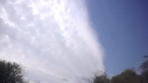 Пчелопакеты по ГОСТу. Купить пчелопакеты