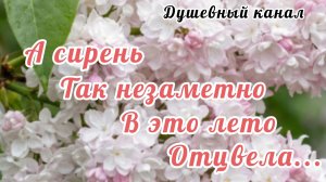 КАКАЯ МИЛАЯ ПЕСНЯ! А СИРЕНЬ ТАК НЕЗАМЕТНО В ЭТО ЛЕТО ОТЦВЕЛА