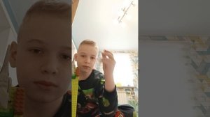 забор для велоцираптора