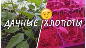 Совет от Михалыча #дачныехлопоты