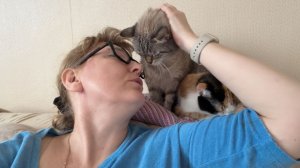 День год кормит