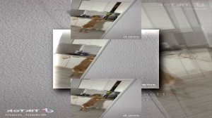 (YTPMV) Random Tiktok Video Scan