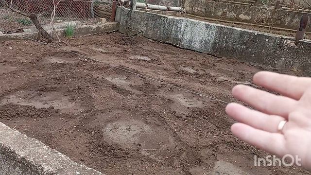 ПОСЕВЫ В САДУ И ОГОРОДЕ ЗАКОНЧИЛИСЬ. ВСЁ ПОЛИЛА.. ЖДЁМ ВСХОДОВ.