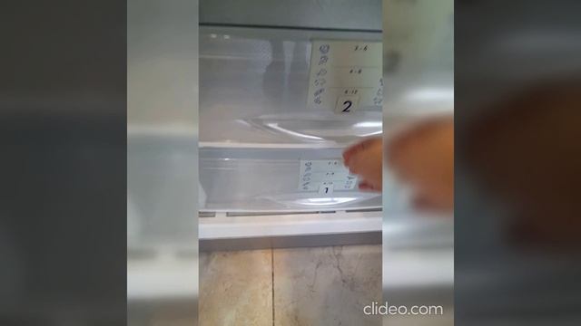 2-online-video-cuttercom_TQA3mweG