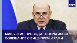 Мишустин проводит оперативное совещание с вице-премьерами