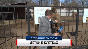 НОВОСТИ ДНЯ. Программа «Губерния», 31 марта