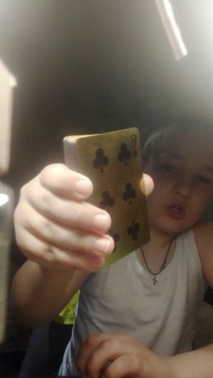 обзорные игрушки