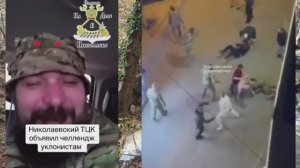 Николаев 31 марта 2026 года (с блохами необходимо бороться)