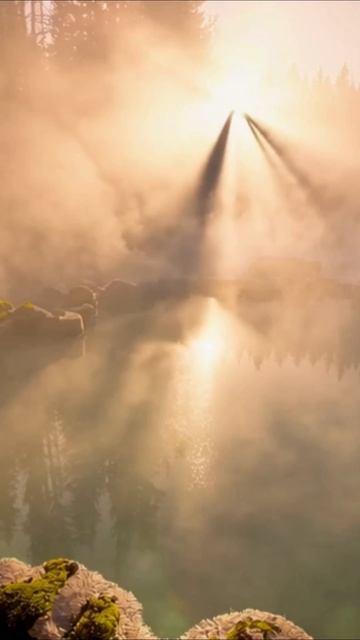 #залипательноевидео #эмоциональныемгновения #неожиданноепреображение #восхитительныемоменты