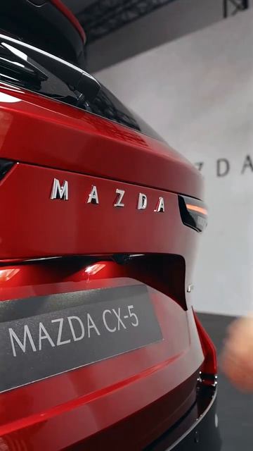 Все материалы взяты из свободного доступа в интернет ресурсе