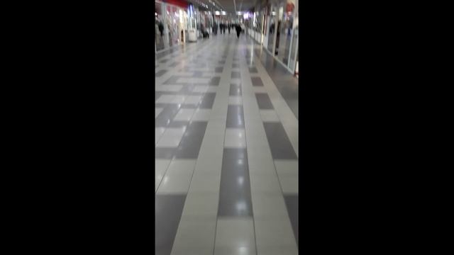 Поймали Саню на кармане. Стихи