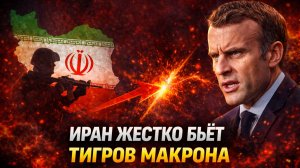 иран жестко бьет тигров макрона