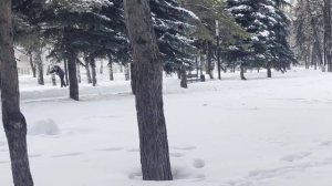 "  ПРЕДЧУВСТВИЕ " ИСТОРИЯ ИЗ ЖИЗНИ.