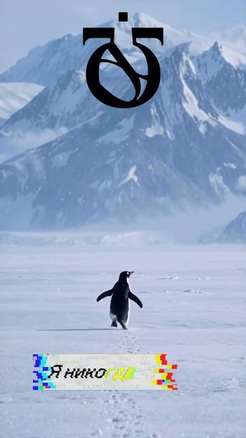 Моя фраза дня...#игра #мысли #фразы #афоризмы #генератор