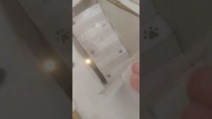 Я вернулась! новые бумажные собаки,новый домик 🐕🦺💛