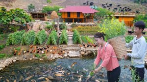 Вы не поверите, что мы построили этот самодостаточный сад и огромный пруд с рыбами!