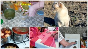 Горчица на рассоле 🔥. Будни домохозяйки. Сильный ветер