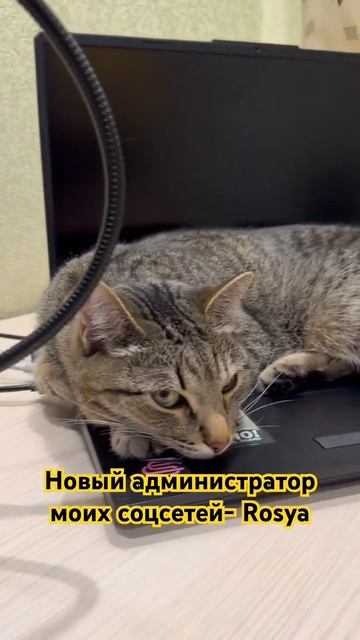 #Ухта …администратор моих соцсетей-Rosya…01.04.2026