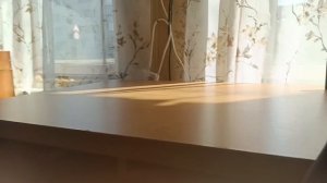 5 ночей с картун кэтом 4 ночь