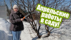Успейте сделать эти работы в  АПРЕЛЕ!