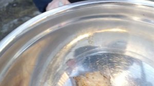 Весна Весна......   31-03-2026