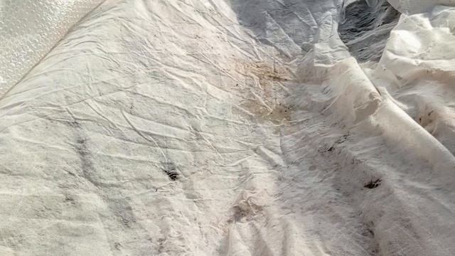 Новости из деревни. Планы