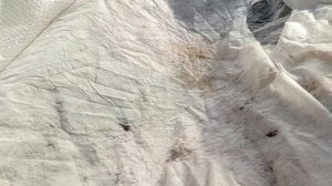 Новости из деревни. Планы