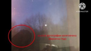 фотография где был найден Урр (читайте описание)