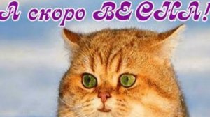 СП Вязальный переполох А скоро Весна Отчёт Март 2 с Еленой Велиной