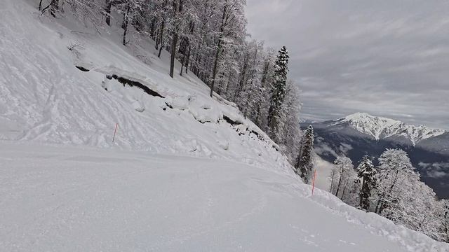 2026-02-24 Сочи. Панорама - Западная - Транзит