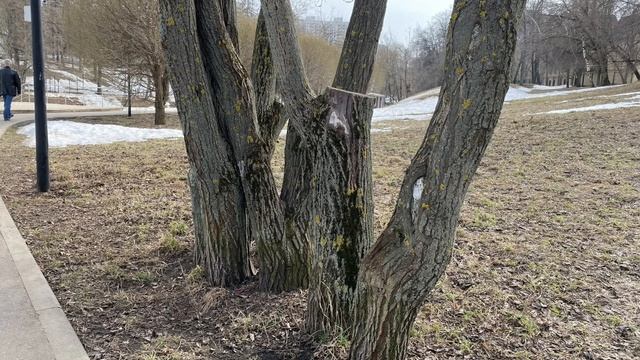 Весенняя прогулка в Дурасово