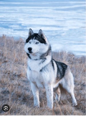 выбираем новое название каналу