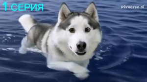 ПРИКЛЮЧЕНИЯ СОБАКИ - 1 сезон, 1 серия: ОКЕАН