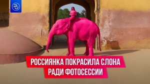 Россиянка покрасила слона в розовый ради фотосессии