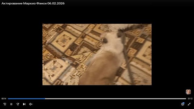 Котята питомника кошек ФЭНСИ