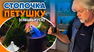 Аквариумные истории из ЭКЗОМЕНЮ (01.04.2026). Спецвыпуск. Стопочка петушку!