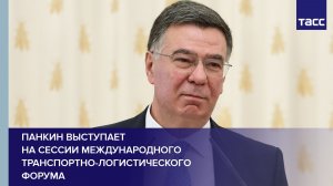 Панкин выступает на сессии Международного транспортно-логистического форума