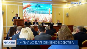 В 2026 году 513 млн рублей направят на поддержку семеноводства на Кубани